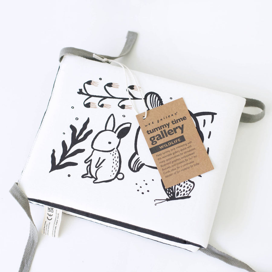 Baby Tummy Time Gallery with Mirror