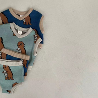 Dino Knit Vest Top Bottom Set